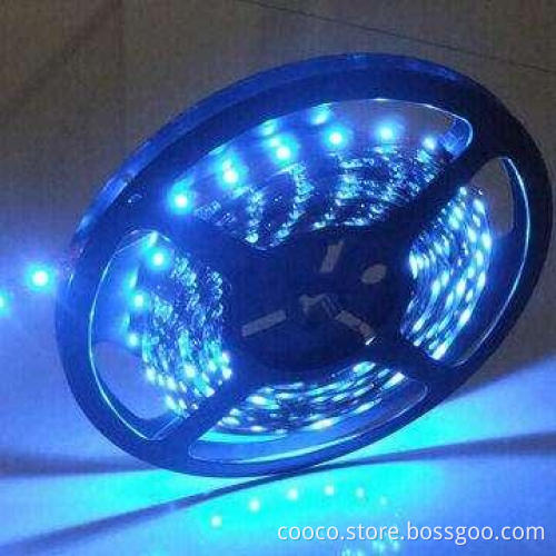 Non-waterproof Blue Flexible LED Strip with SMD 3528 LED Type and 30pcs LED/m Quantity